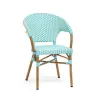 Outdoor Garden Cafe Aluminum French Bistro Rattan Dining Chair with Arms