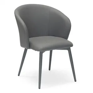 Modern Nordic Metal Frame New Upholstered Dining Room Chairs