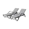 Shintenchi Modern Metal Light Grey Outdoor Chaise Lounge Set 2-Piece Pool Arm Recliner with 5-Adjustable Backrest Beach Chairs