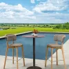Competitive Price Durable Modern Wood Outdoor Bar Chair Stool for Home Bar Dining Hotel Commercial Use