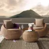 All-Weather Wood Garden Sofa Set Eco-Friendly Durable Outdoor Furniture for Park Villa Patio