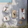 Modern Outdoor Woven Vine Sofa and Dining Table Set Wicker Furniture for Hotels Gardens Courtyards Parks