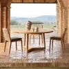 Nordic Modern Rocking Comfortable Durable Outdoor Dining Chair Waterproof Anticorrosive Teak Wood Full Color Printed Garden