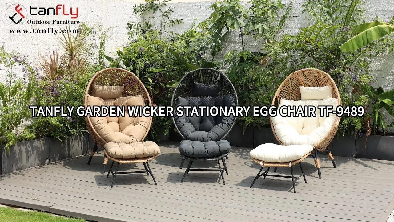 Tanfly Garden Wicker Stationary Egg Chair TF-9489