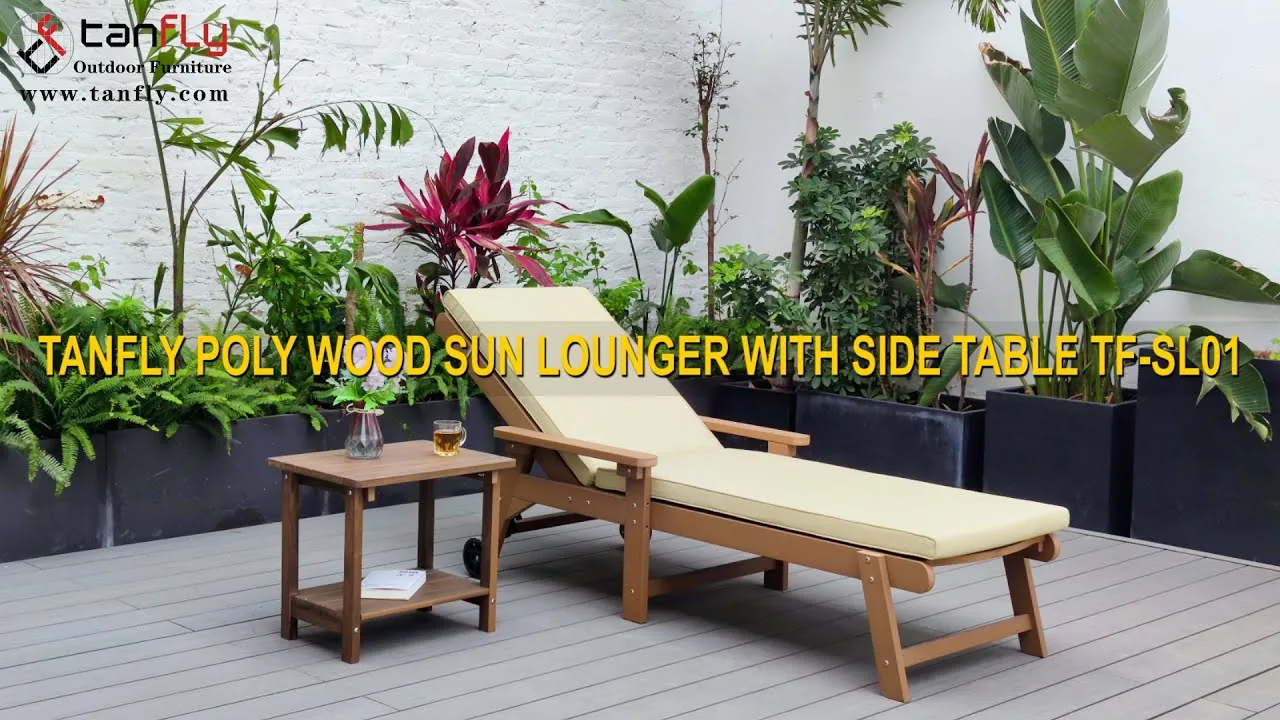 TANFLY 聚木太陽椅帶邊桌 TF SL01