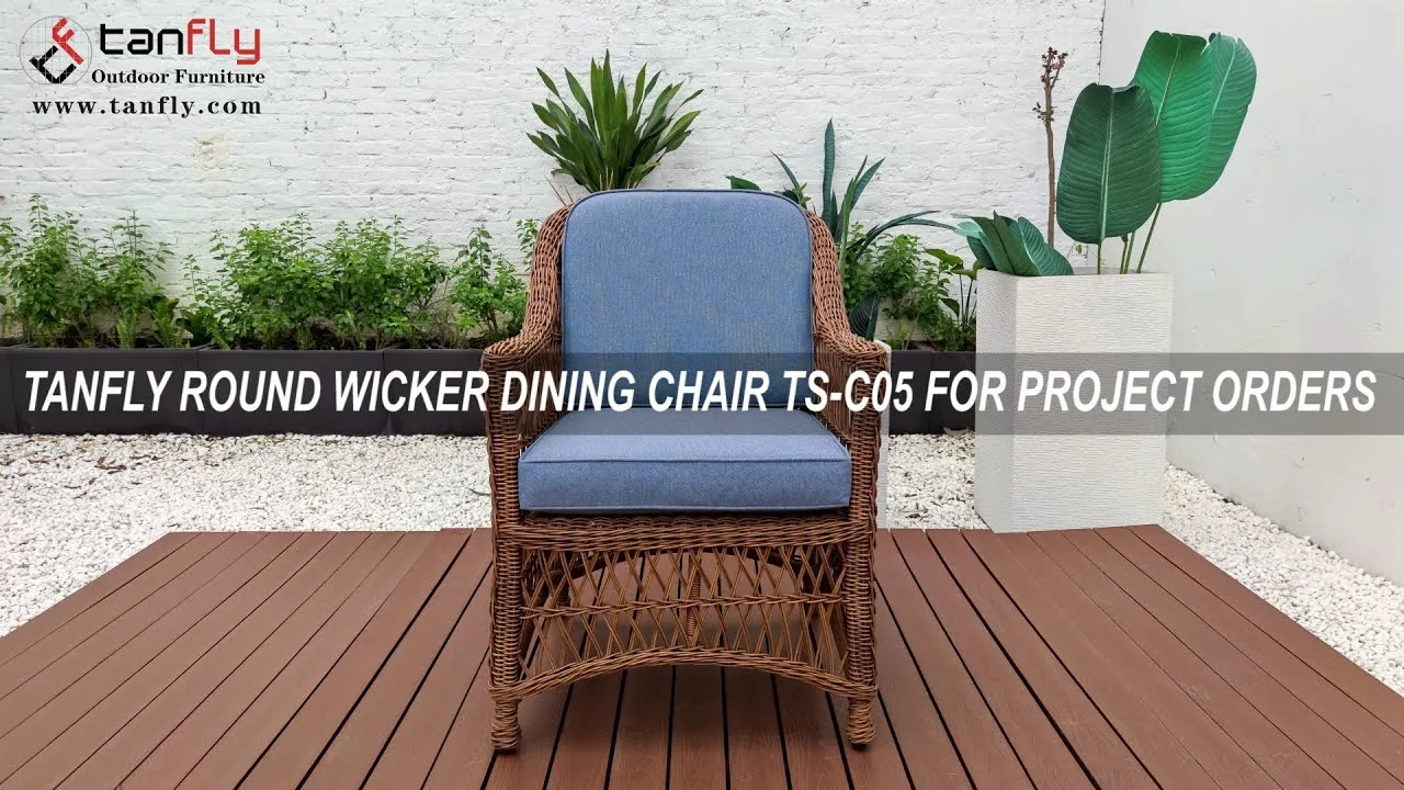 TANFLY Round Wicker Dining Chair TS-C05 لأوامر المشاريع