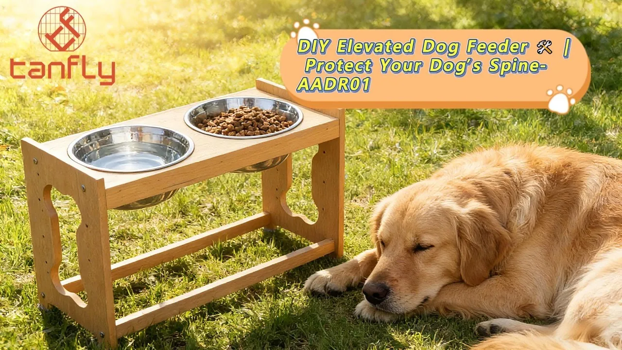 DIYで高さのある犬用餌台を作って、愛犬の背骨を守りましょう AADRO1