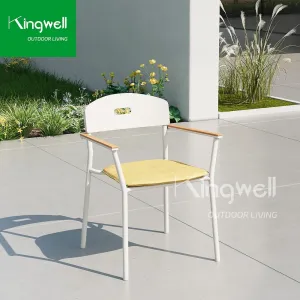 Modern Style Stackable Aluminum Frame Garden Chairs Outdoor Patio Dining Chair for Restaurant Hotel Park Leisure