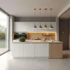 Custom Eco-Friendly Fireproof Modular Small Plywood Kitchen Cabinet Set for Apartment Hospital Dining Project Solutions