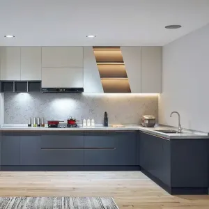 Custom Modern Design Plywood Kitchen Storage Cabinet Supplier Quartz Stone Cupboards for Apartment Project Developer Builder
