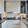 Factory Direct Custom PET Particle Board Kitchen Cabinet Set for Contractor and Developer Projects