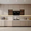 Factory Wholesale PET Kitchen Cabinets for Real Estate Developers Large Scale Apartment Hotel Projects