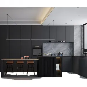 Philippine Apartment Project Customized Modern Home Furniture Plywood Kitchen Storage Cabinet Set
