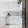 Project Design Wooden Kitchen Cabinet Plywood Chipboard MDF Kitchen Cupboard Island Storage Cabinet for Apartment Project