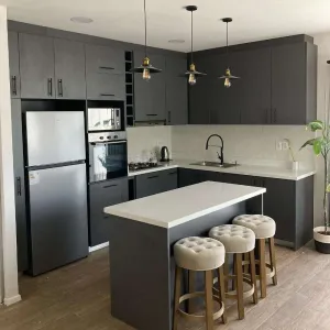 Project Kitchen Cabinets Manufacturer Plywood Cabinet with PET Finish for Developers and Builders