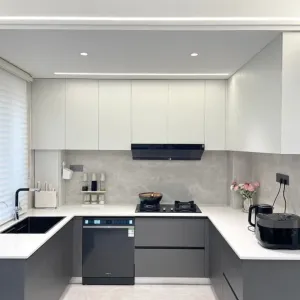 Wholesale PET Kitchen Cabinet Solutions for Large Developer and Engineering Projects