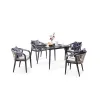 New Design Aluminum Pe Rattan Leisure Comfy Rope Outdoor Furniture Patio Restaurant Table and Chair Sets