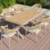 Durable Outdoor Plastic Wood Table Rattan Chair for Restaurant Garden Courtyard Modern Hotel Furniture for 6-10 People Dining