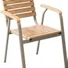 Modern Aluminum Frame Champagne Color Comfortable Eco-Friendly Villa Garden Dining Courtyard Chair Plastic Wood Slatted Backrest