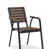 Modern Aluminum Frame Charcoal Gray Lightweight Durable Eco-Friendly Comfortable Dining Villa Chair Poly Wood Slatted Backrest