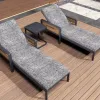 Modern Aluminum Outdoor Adjustable Chaise Lounge Sun Lounger with Cushioned Seat and Backrest Hotel Villa Use