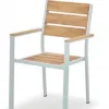 Modern Charcoal Gray Aluminum Frame Chair Plastic Wood Horizontal Slat Backrest Seat Armrests Lightweight Villa Living Room