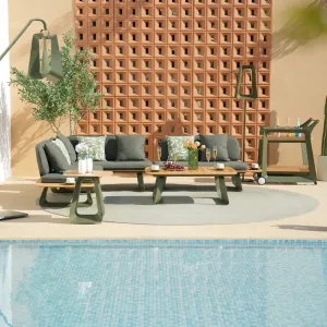 Modern LION SERIES Aluminum Alloy Portable Waterproof Outdoor Sofa Set with Plastic Wood Tables for Patio Garden Villa