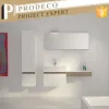 Modern Single Sink Lacquer Finish Wall Mounted Quartz Stone Countertop Bathroom Vanity Double Vanity Unit Mirror Apartment
