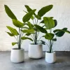 UV Resistant Artificial Outdoor Greenery Weatherproof Fade-Proof