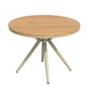 Deluxe Modern All-Weather Outdoor Tables Round Plastic Wood Table Set for Courtyard Garden
