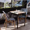 Manufacturer's Hot Modern French Design Rattan Garden Chair for Villa Courtyard Dining Outdoor Furniture