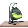 Double Swing Chair