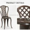 Bruno Rey Style Cast Aluminum European Design Outdoor Villa Park Courtyard Chair