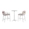 Contemporary Outdoor Dining Set Modern Aluminum Furniture Wood Table and Chairs for Garden Use