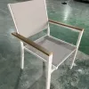 Modern Luxury Leisure Plastic Wood Restaurant Outdoor Dining Chair for Garden Dine