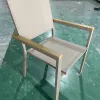 Modern Luxury Leisure Plastic Wood Restaurant Outdoor Dining Chair for Garden Dine