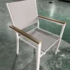 Modern Luxury Leisure Plastic Wood Restaurant Outdoor Dining Chair Waterproof Portable Garden Furniture for Patio Dine and Park