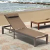 Modern Metal Patio Outdoor Sun Bed Furniture Outdoor Sun Lounger for Courtyards Pools Beaches Hotels Gardens