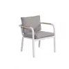 Modern Style Outdoor Dining Sets Waterproof Aluminum Teak Wood Armrest Chair With Table Garden Patio Furniture