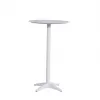Modern Style Table and Chair Set Dining Set for Garden or Patio Outdoor Hotel Aluminum Teak Wood Feature for Villas