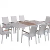 Outdoor Furniture Dining Set Garden Leisure Dining Table and Chair for Garden Hotel Outdoor
