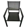 Wholesale Patio Furniture Outdoor Dining Chairs Backyard Birthday Party Table Tesla Dining Chair